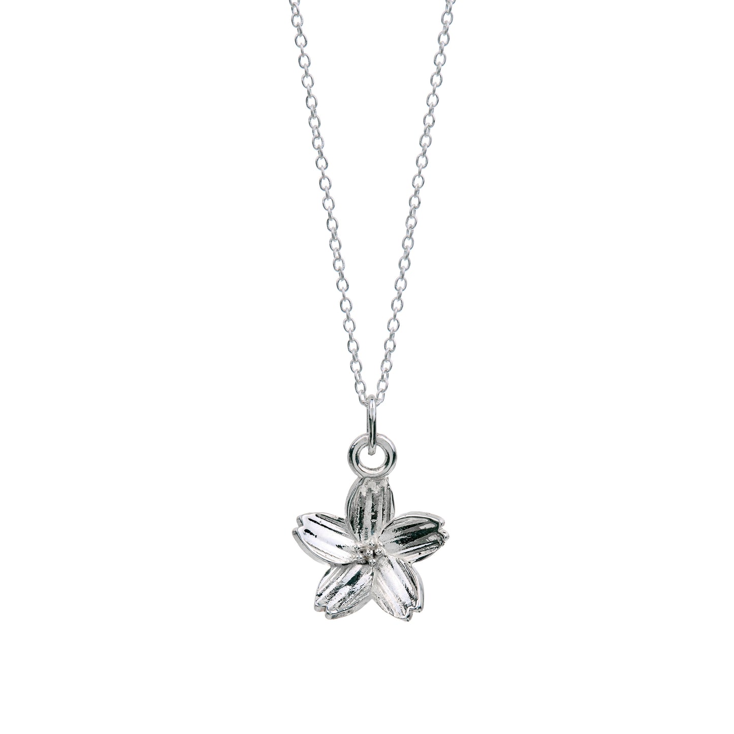 Dije Flor de Cerezo con cadena de plata