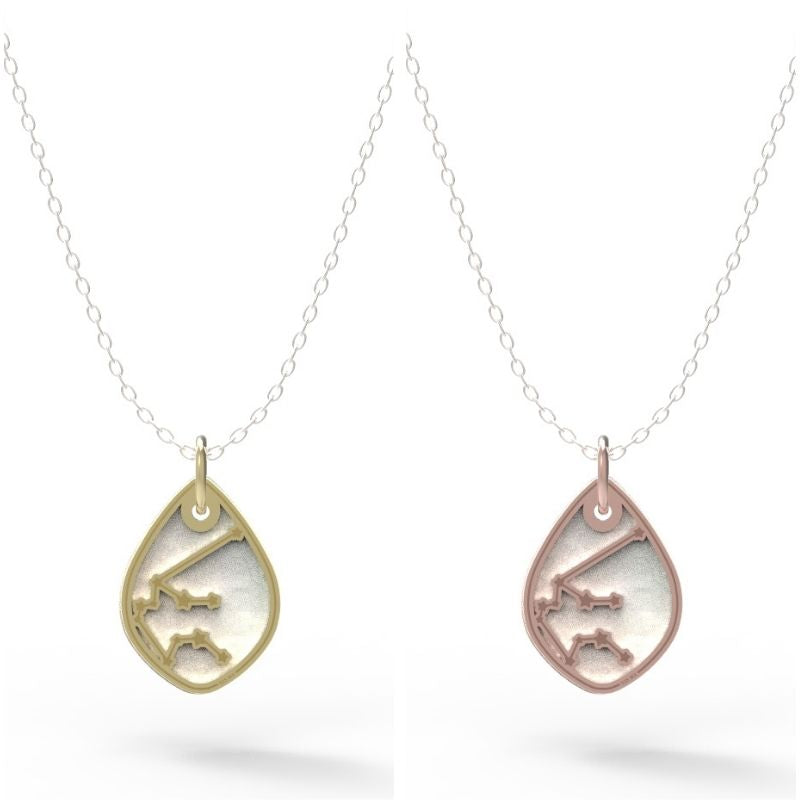 Dije Constelación zodiaco Acuario de plata