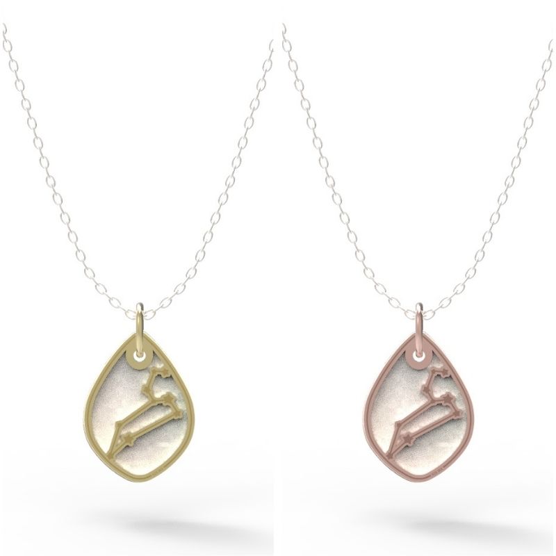 Dije Constelación zodiaco Leo de plata