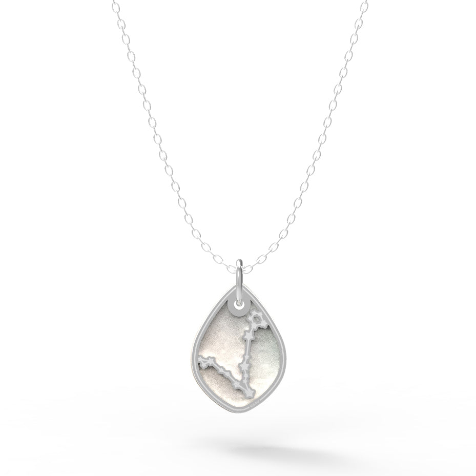Dije Constelación zodiaco Piscis de plata