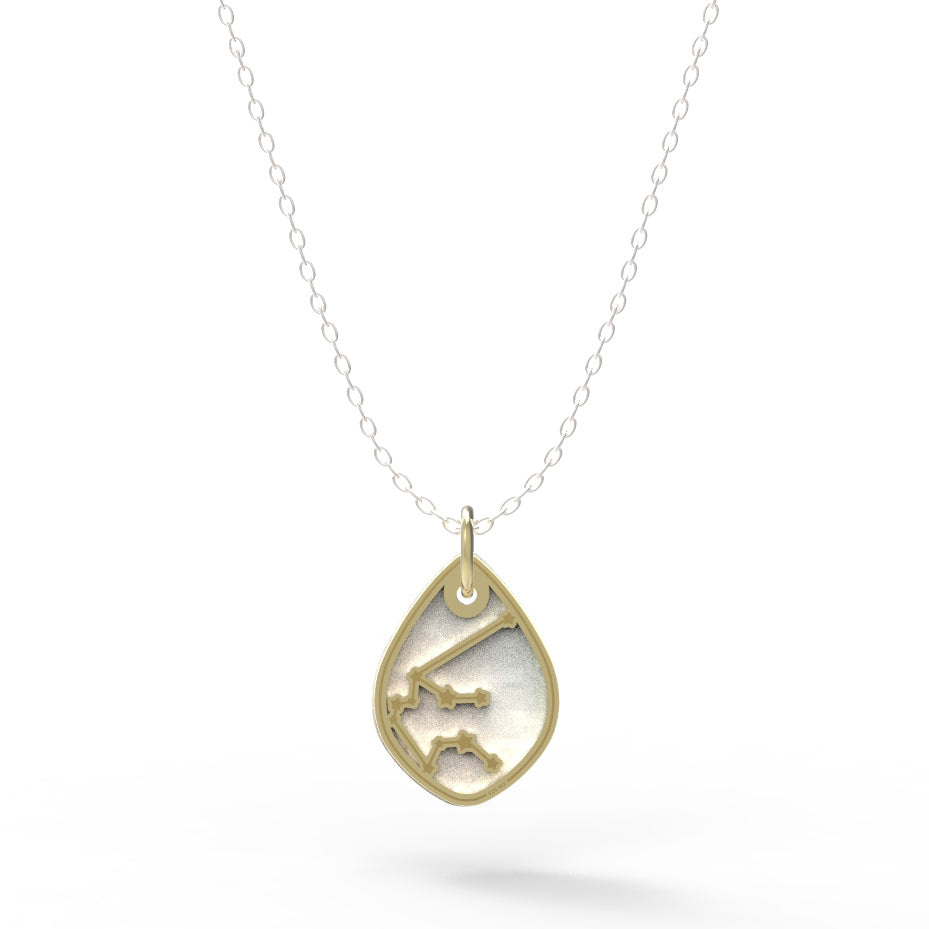 Dije Constelación zodiaco Acuario de plata