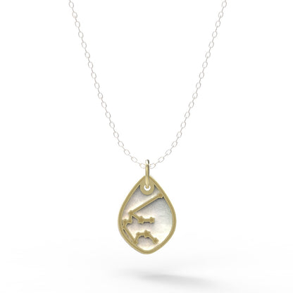 Dije Constelación zodiaco Acuario de plata