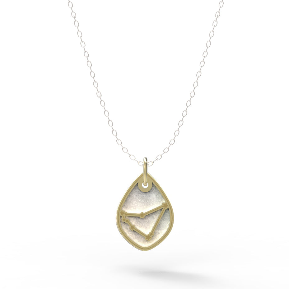 Dije Constelación zodiaco Capricornio de plata