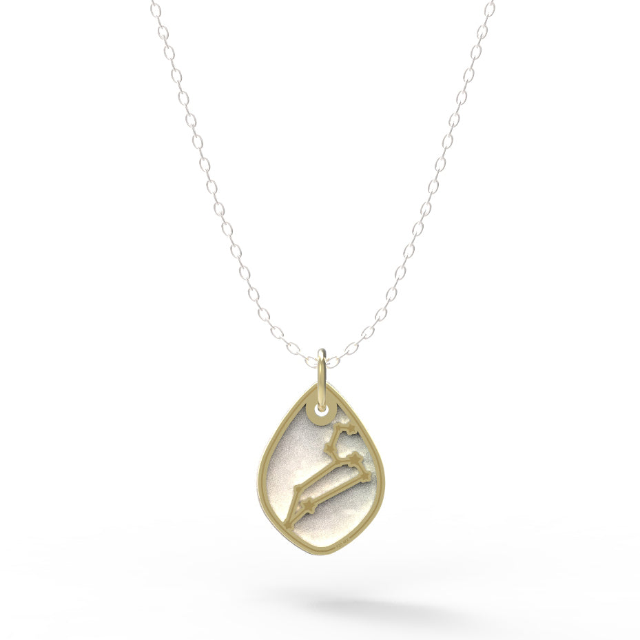 Dije Constelación zodiaco Leo de plata