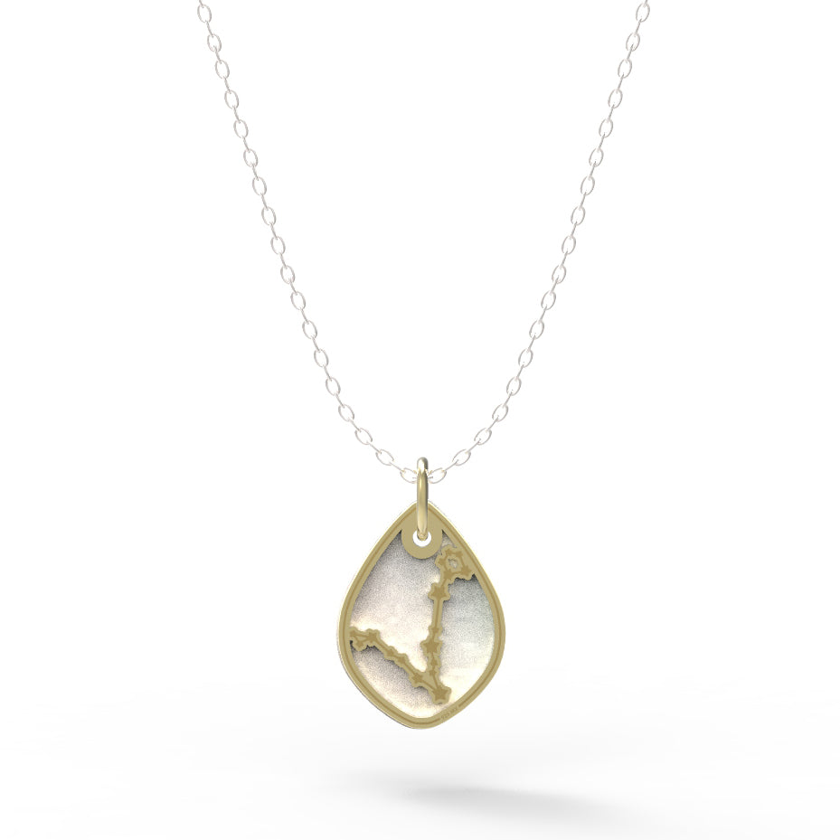 Dije Constelación zodiaco Piscis de plata